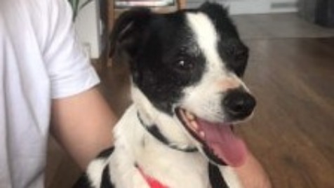 Zdjęcie aktualizacji 48 451