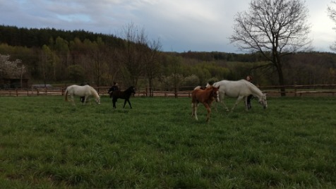 Zdjęcie aktualizacji 48 852