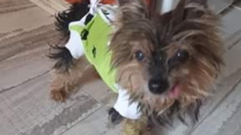 Zdjęcie aktualizacji 48 874