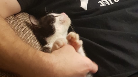 Zdjęcie aktualizacji 49 179