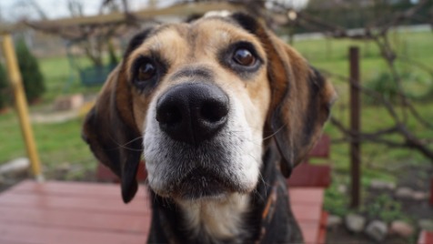 Zdjęcie aktualizacji 49 302