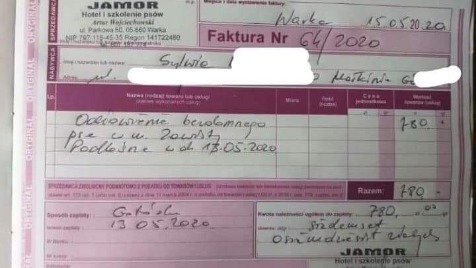 Zdjęcie aktualizacji 49 615