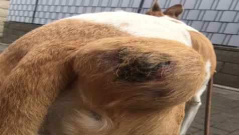 Zdjęcie aktualizacji 50 290