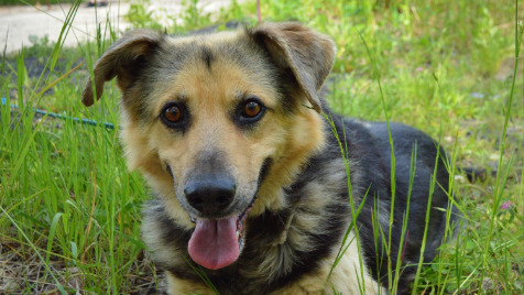 Zdjęcie aktualizacji 51 214