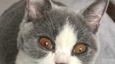 Zdjęcie aktualizacji 52 741