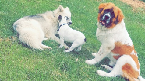 Zdjęcie aktualizacji 53 796