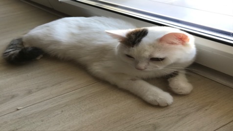 Zdjęcie aktualizacji 54 789