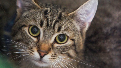 Zdjęcie aktualizacji 57 016