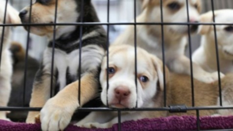 Zdjęcie aktualizacji 57 062