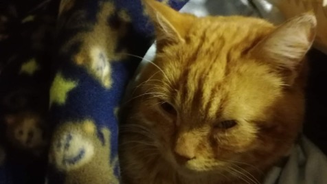 Zdjęcie aktualizacji 59 224