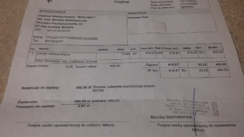 Zdjęcie aktualizacji 61 458