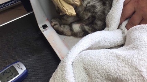 Zdjęcie aktualizacji 6 228