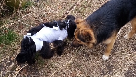 Zdjęcie aktualizacji 65 877