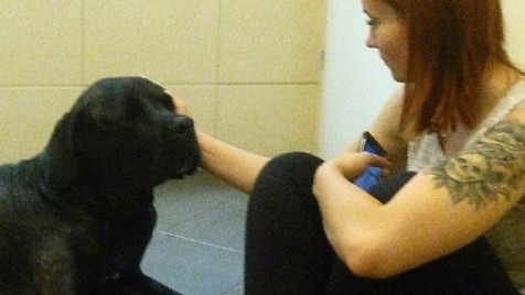 Zdjęcie aktualizacji 6 591