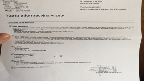 Zdjęcie aktualizacji 66 570