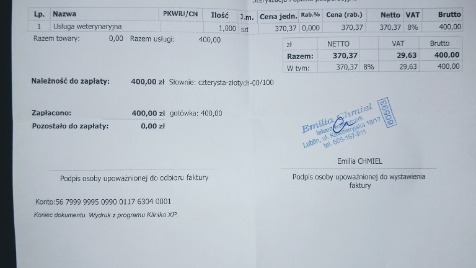 Zdjęcie aktualizacji 66 729