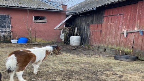 Zdjęcie aktualizacji 66 967
