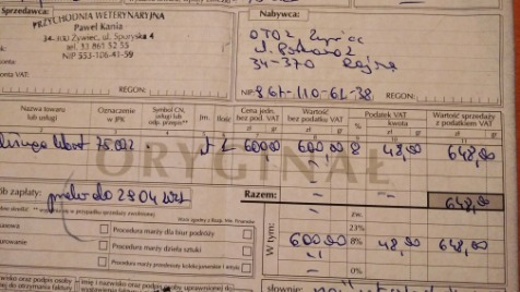 Zdjęcie aktualizacji 67 038