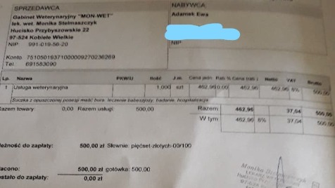 Zdjęcie aktualizacji 67 239