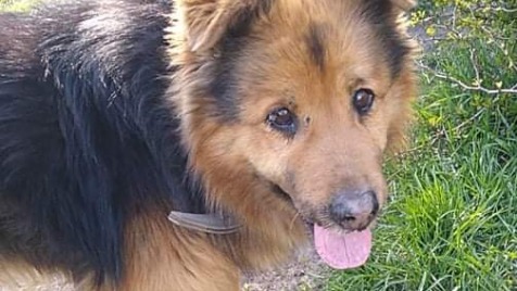 Zdjęcie aktualizacji 67 577