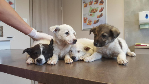 Zdjęcie aktualizacji 6 788