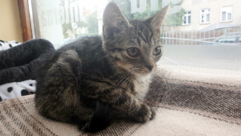 Zdjęcie aktualizacji 6 792