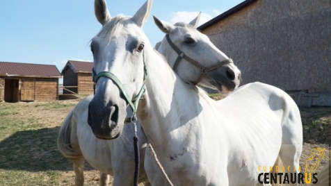 Zdjęcie aktualizacji 6 809