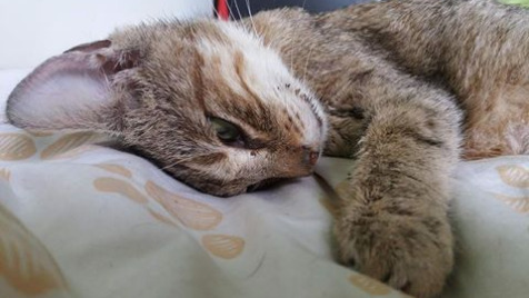 Zdjęcie aktualizacji 6 812