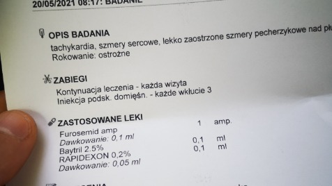 Zdjęcie aktualizacji 68 621