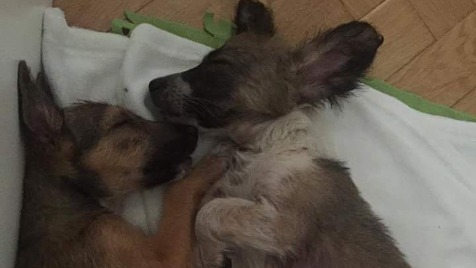 Zdjęcie aktualizacji 7 024