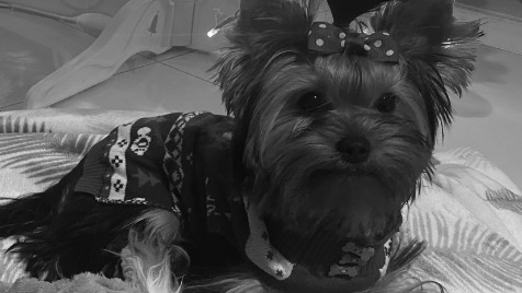 Zdjęcie aktualizacji 70 347