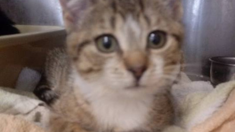 Zdjęcie aktualizacji 7 039