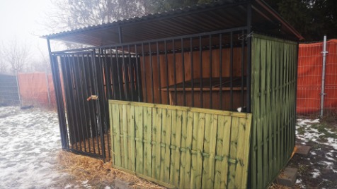 Zdjęcie aktualizacji 71 021