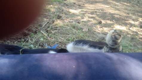 Zdjęcie aktualizacji 71 141