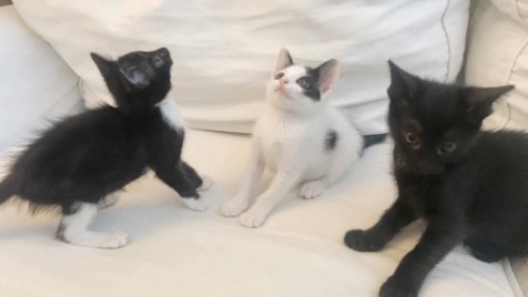 Zdjęcie aktualizacji 7 120