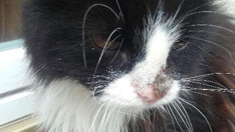 Zdjęcie aktualizacji 7 122