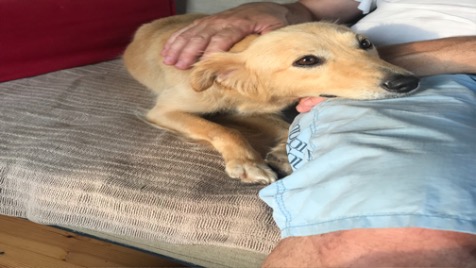 Zdjęcie aktualizacji 71 481