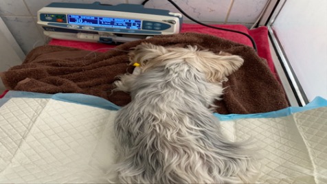 Zdjęcie aktualizacji 71 494