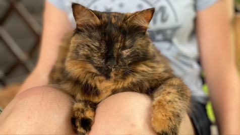 Zdjęcie aktualizacji 71 837