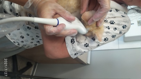 Zdjęcie aktualizacji 72 016