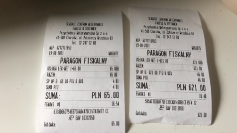 Zdjęcie aktualizacji 73 300