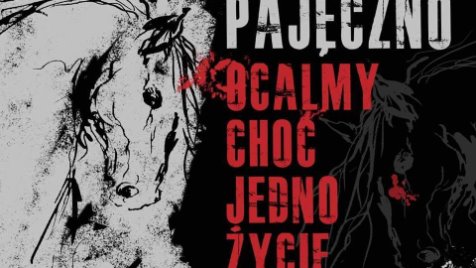 Zdjęcie aktualizacji 7 331