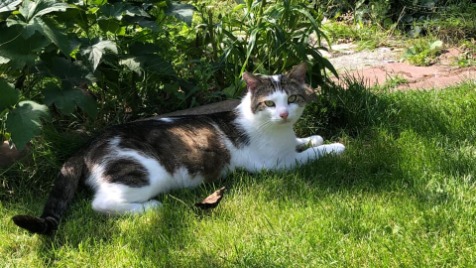 Zdjęcie aktualizacji 73 672