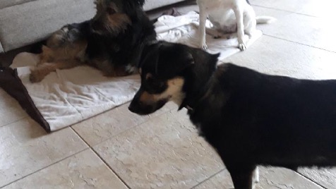 Zdjęcie aktualizacji 74 341