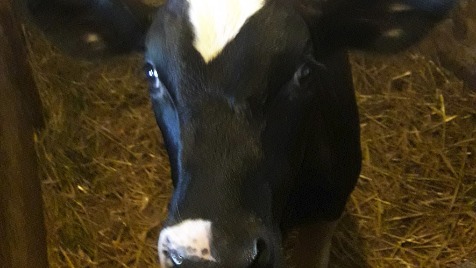 Zdjęcie aktualizacji 7 444