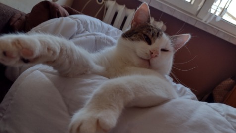 Zdjęcie aktualizacji 75 007