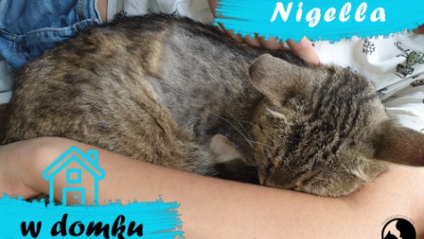 Zdjęcie aktualizacji 75 521