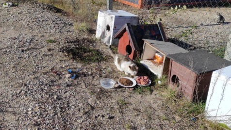 Zdjęcie aktualizacji 75 807