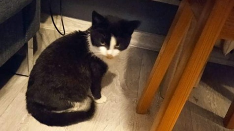 Zdjęcie aktualizacji 79 749