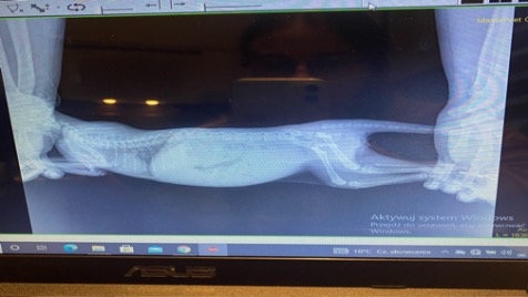 Zdjęcie aktualizacji 80 513